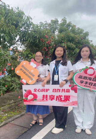 Lychee Culture Festival