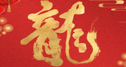 Holiday Notice for Spring Festival 2024