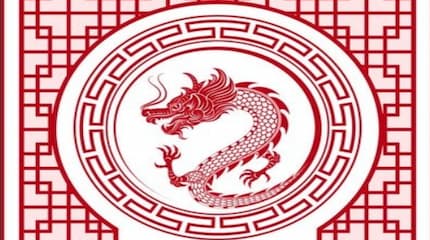 Spring Festival holiday notice