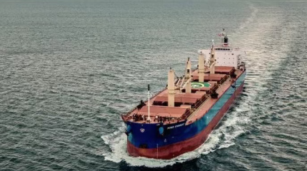 Ocean Freight Rates Continue to Rise: U.S. and Southeast Asia Shipping Costs Increase